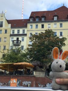 berlin-conejito-paseo-por-el-rio