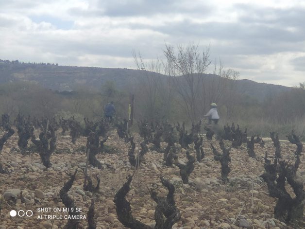 rioja alavesa en bici y autocaravana