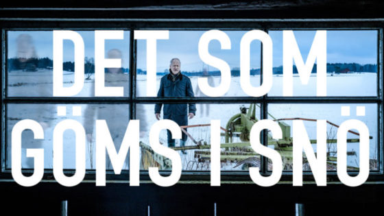 det-som-goms-i-sno-principal
