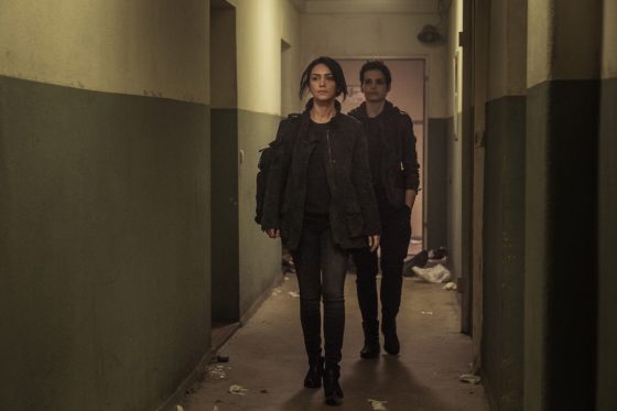 boniadi-serraioco