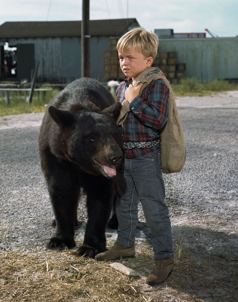 clint-howard-bruno